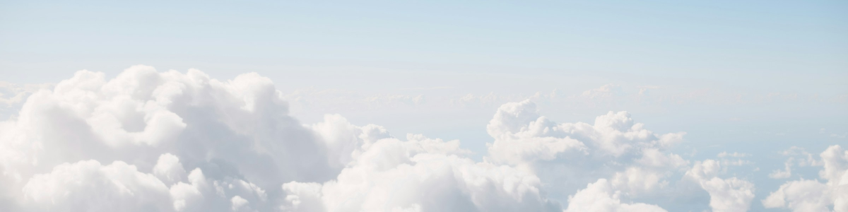 Brand Header